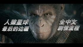 人猿星球中文版免费观看,穿越时空的奇幻之旅