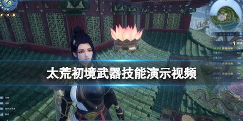 武视频,探寻中华武术的传承与创新