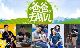 爸爸去哪四免费观看,揭秘“爸爸去哪儿”四季免费观看攻略