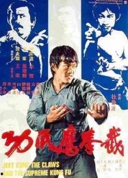 截拳鹰爪功在线播放,在线教学，掌握实战技巧
