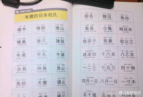姓于日本名字,探寻异国文化中的东方韵味